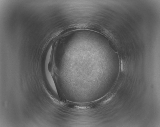 X0000054400205200508192014