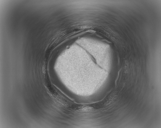 X0000054400210200508192013