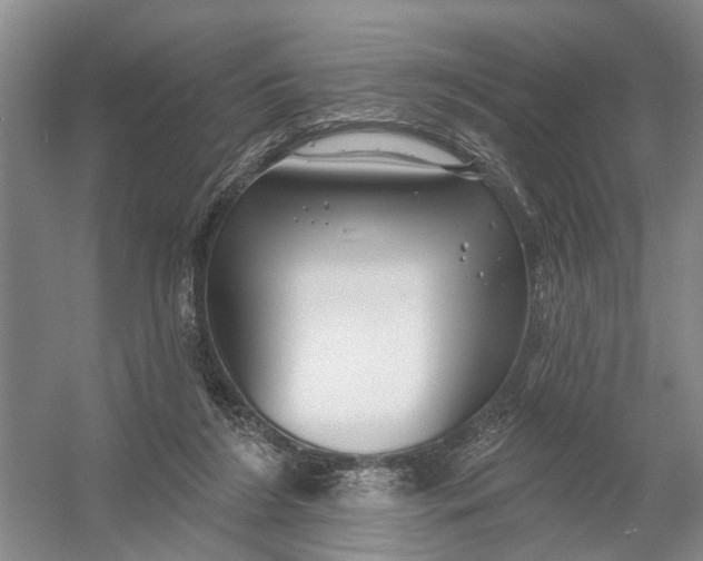 X0000054400212200508192013