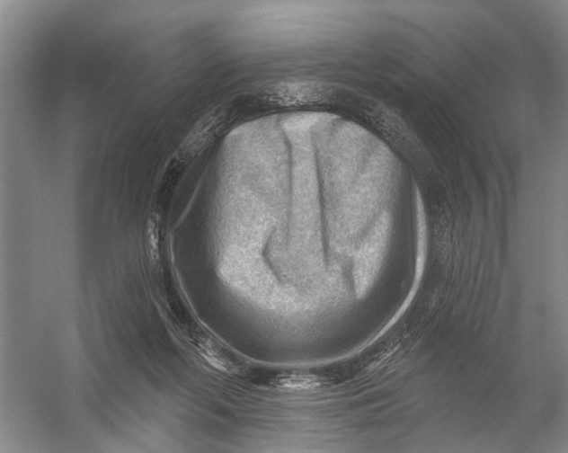 X0000054400214200508192013