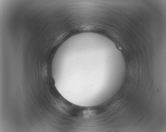 X0000054400216200508192013