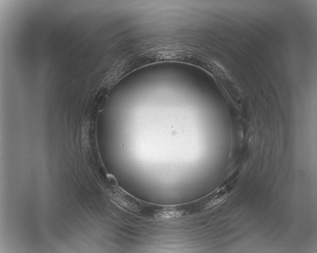 X0000054400217200508192013