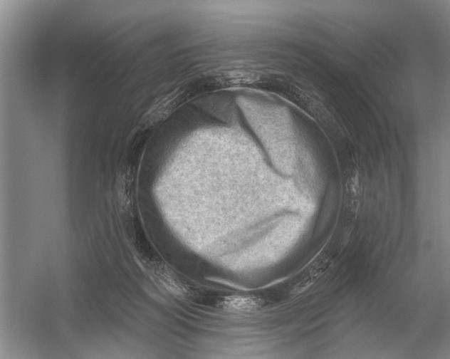 X0000054400218200508192013