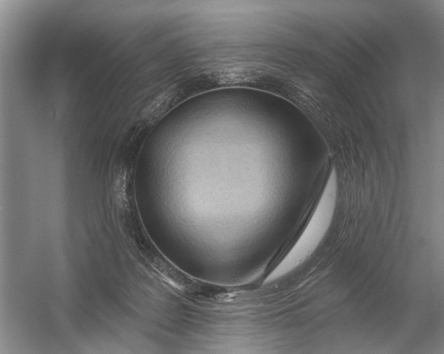 X0000054400219200508192013