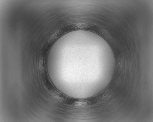 X0000054400220200508192013