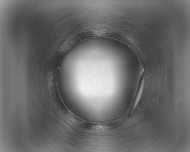 X0000054400221200508192013