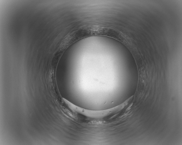 X0000054400225200508192013