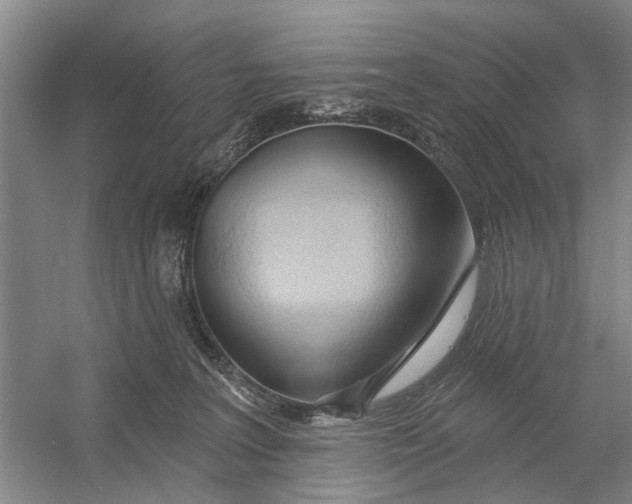 X0000054400227200508192013