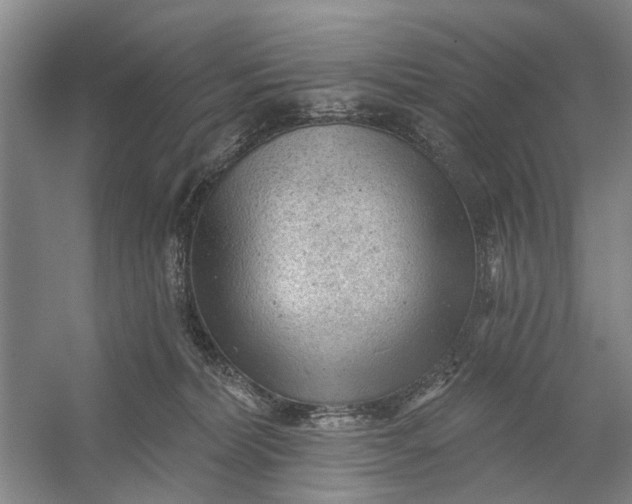 X0000054400228200508192013