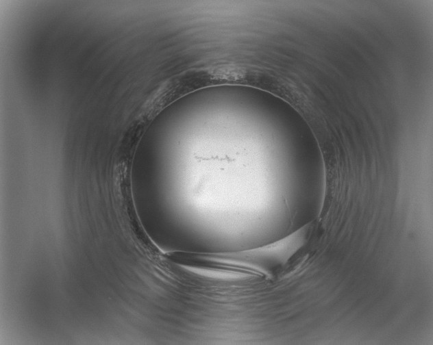 X0000054400229200508192013