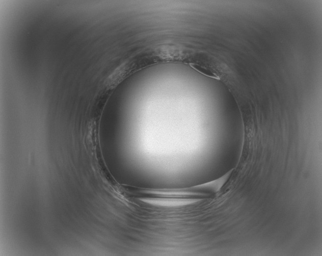 X0000054400233200508192013