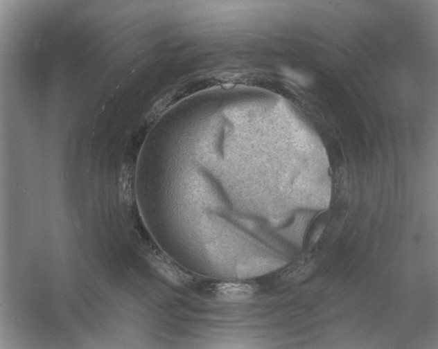 X0000054400234200508192013