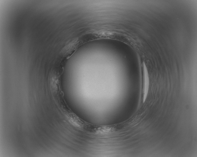 X0000054400235200508192013