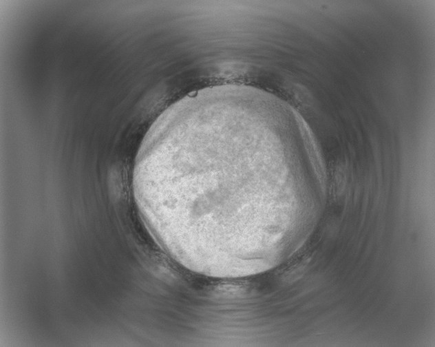 X0000054400236200508192013