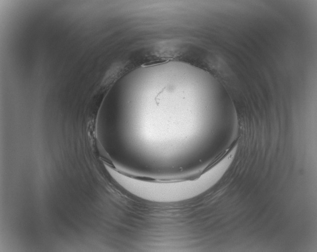 X0000054400237200508192013