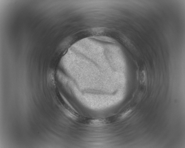 X0000054400238200508192013