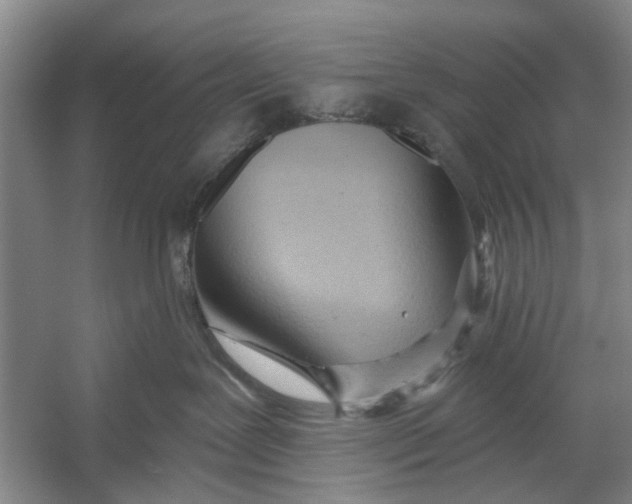 X0000054400239200508192013