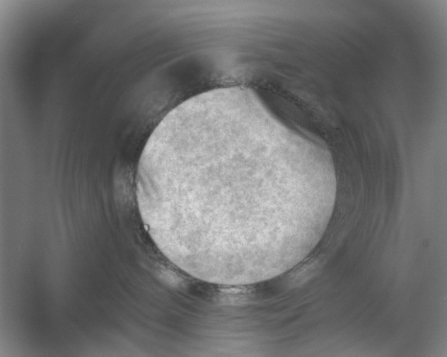 X0000054400240200508192013