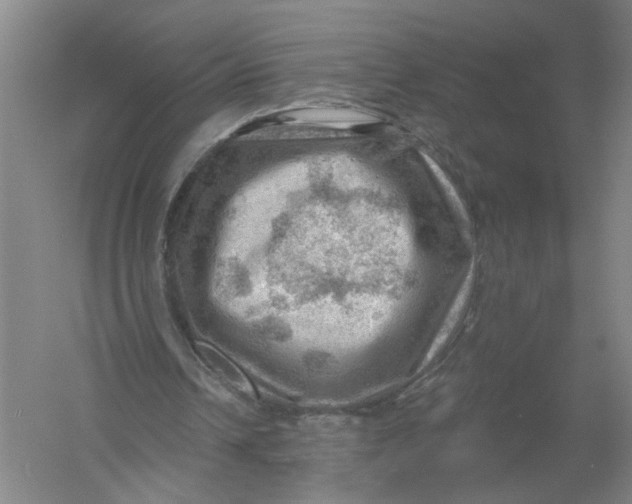 X0000054400242200508192012