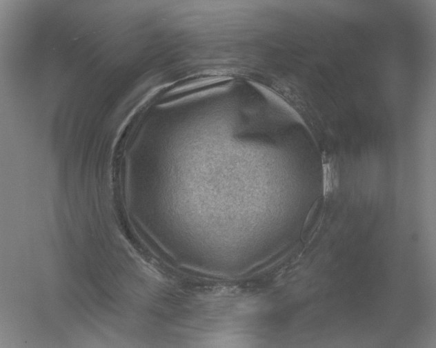 X0000054400243200508192012