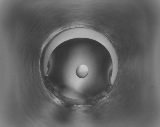 X0000054400244200508192012