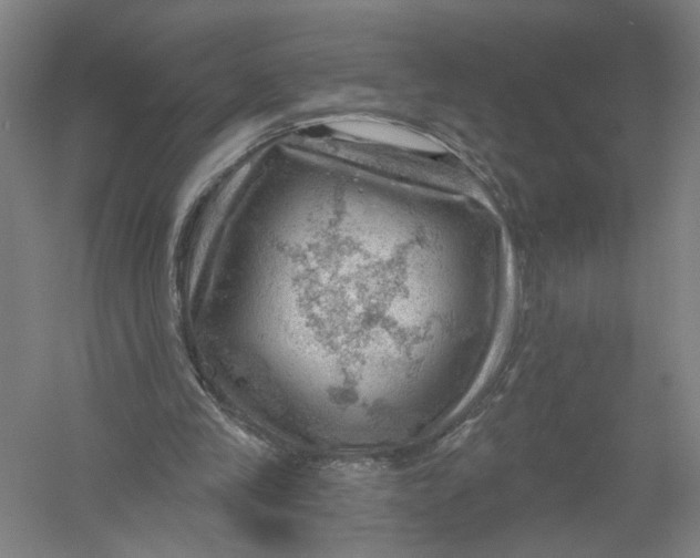 X0000054400245200508192012