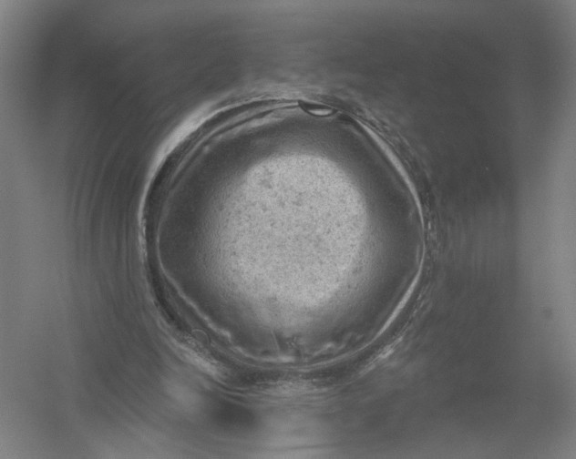 X0000054400246200508192012