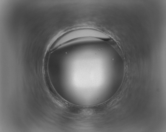 X0000054400248200508192012