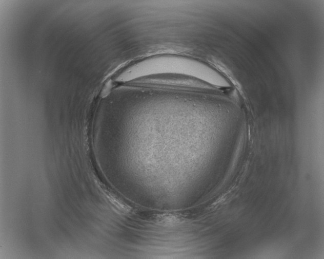 X0000054400249200508192012