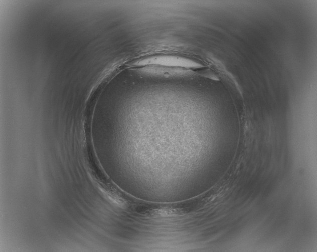 X0000054400250200508192012