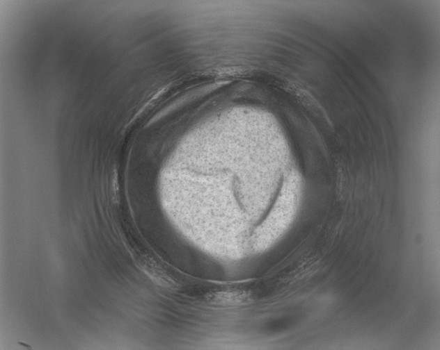 X0000054400251200508192012