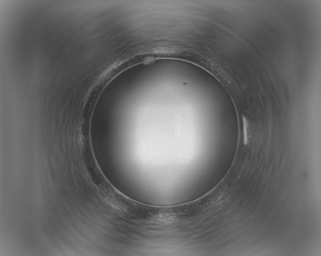 X0000054400252200508192012