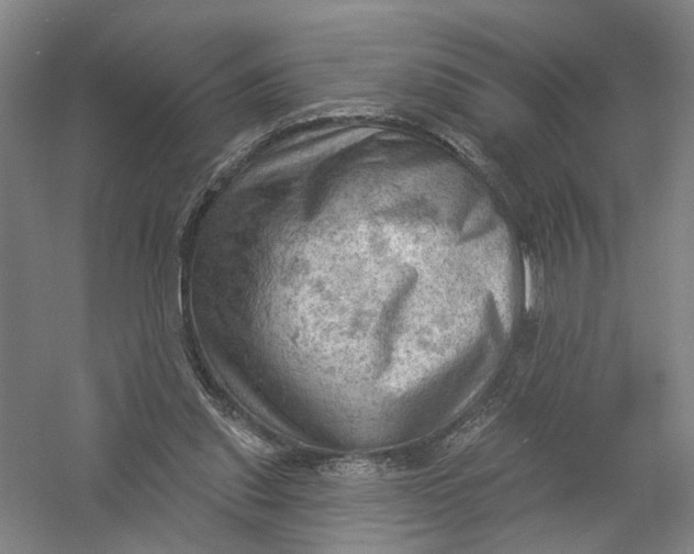 X0000054400253200508192012