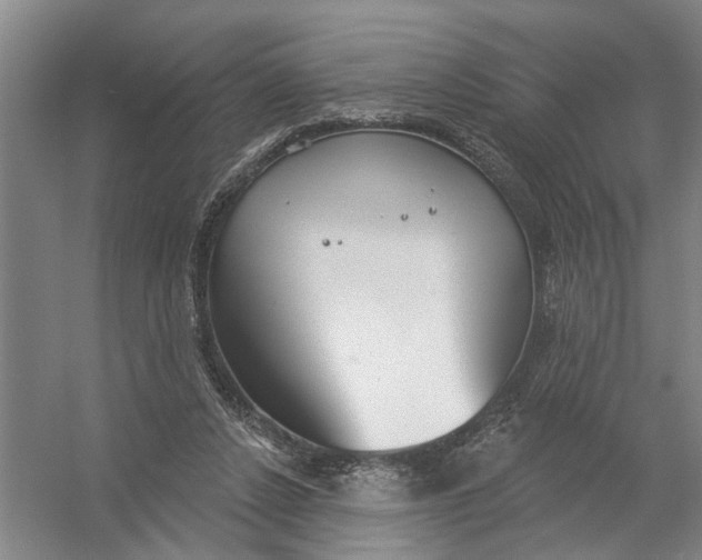 X0000054400256200508192012