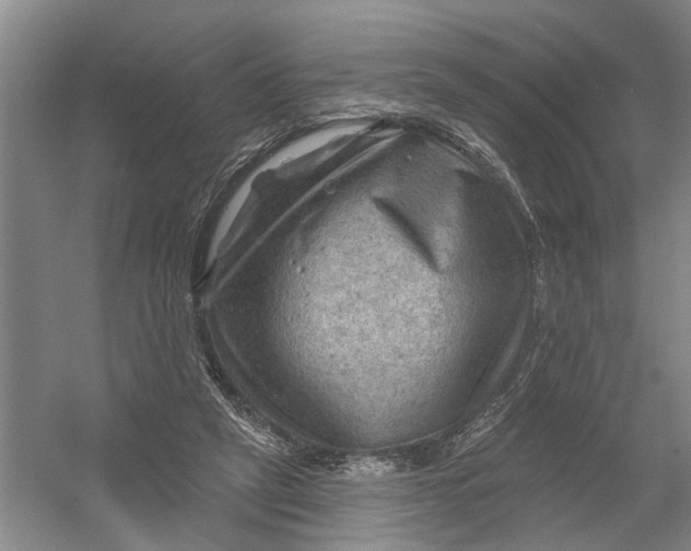 X0000054400257200508192012