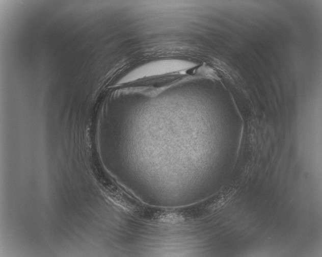 X0000054400258200508192012