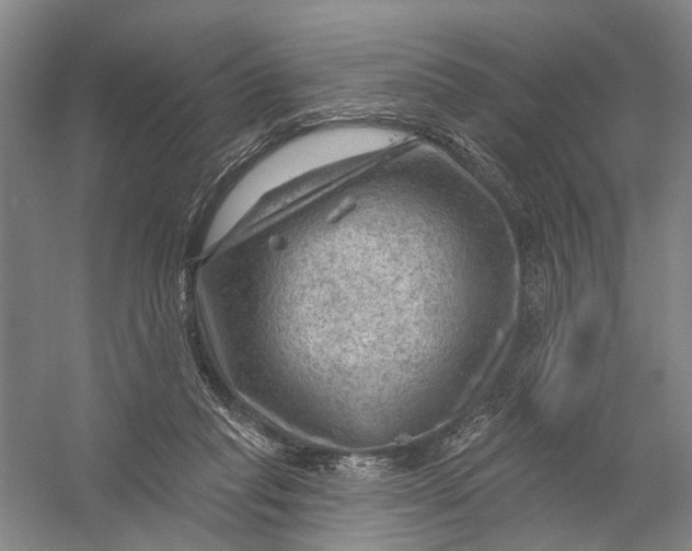 X0000054400261200508192012