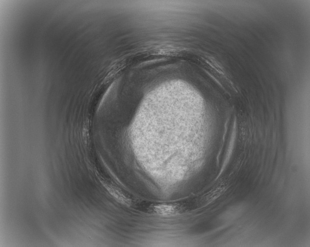 X0000054400265200508192013