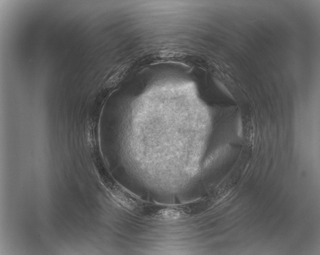 X0000054400272200508192013