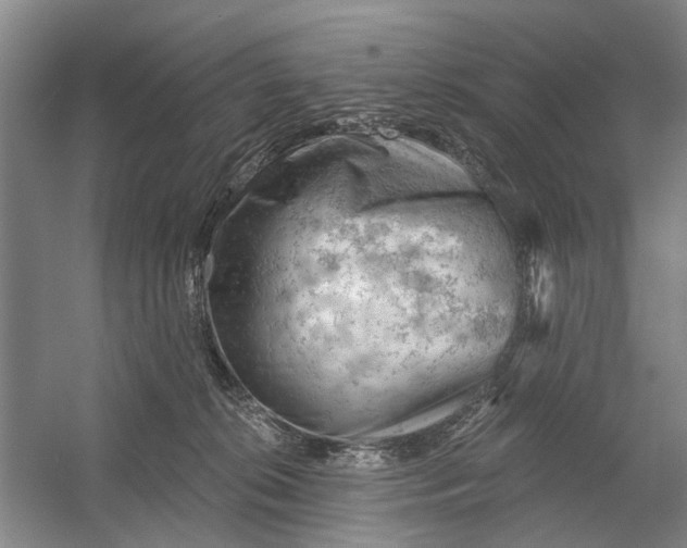 X0000054400276200508192013