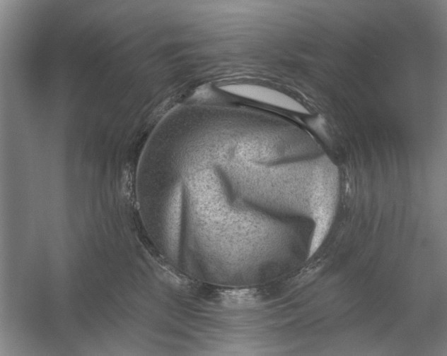 X0000054400281200508192013