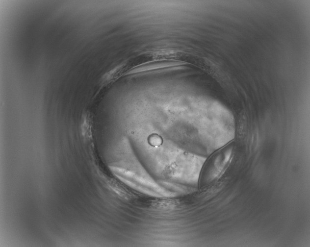 X0000054400282200508192013