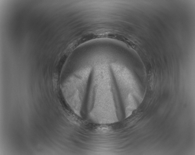 X0000054400283200508192013