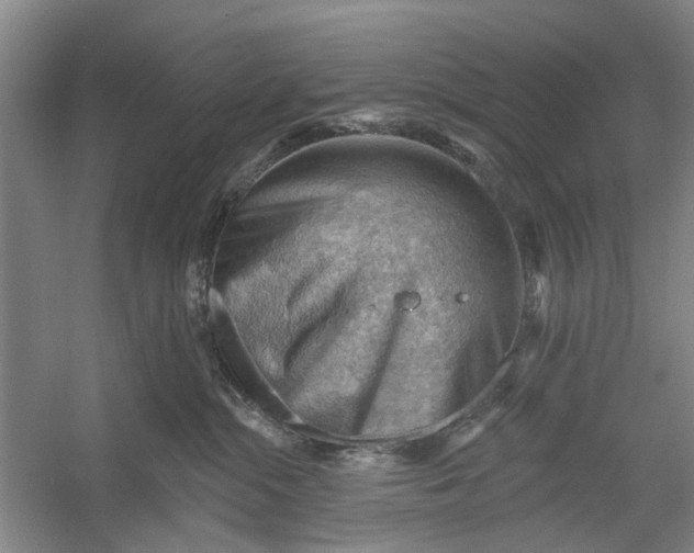 X0000054400284200508192013