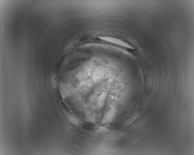 X0000054400285200508192013