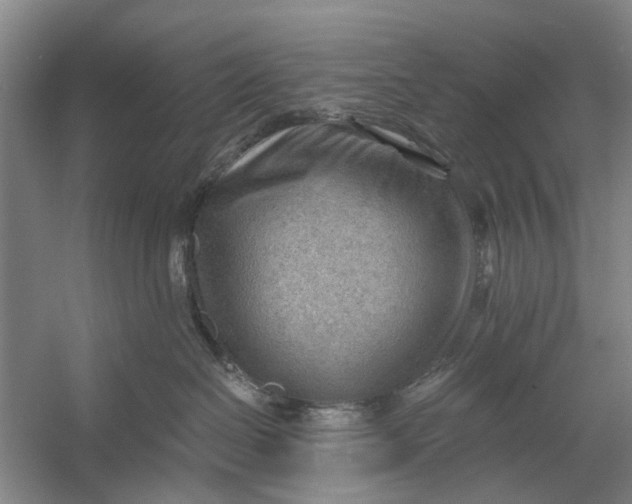 X0000054400286200508192013