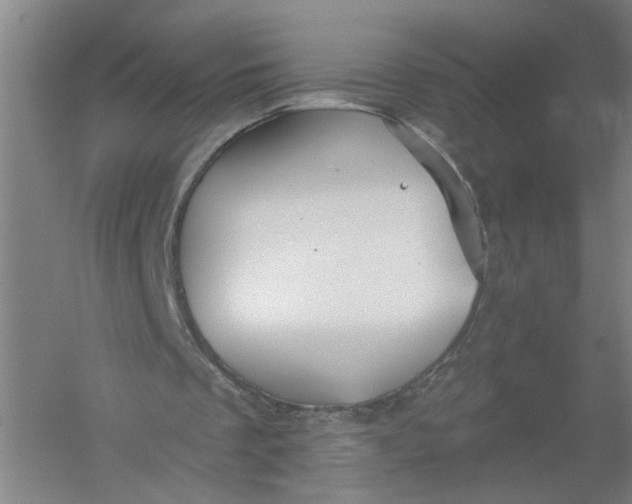 X0000054400289200508192012