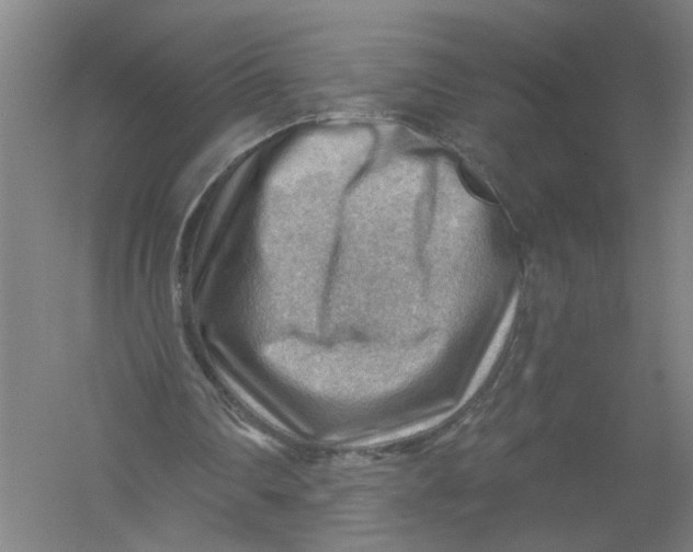 X0000054400290200508192012