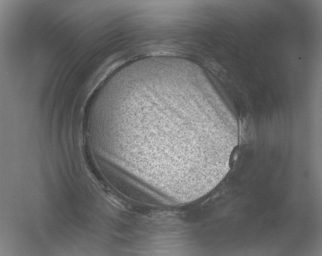 X0000054400291200508192012