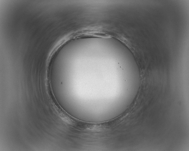 X0000054400293200508192012